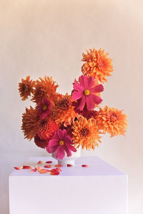 Flower Care 101: Tips for Keeping Your Blooms Fresh Longer