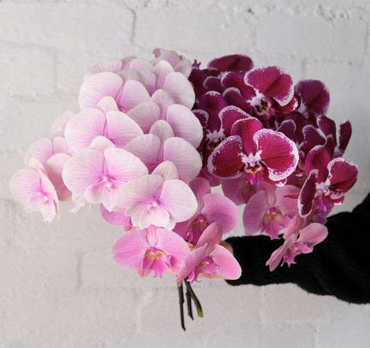 A Note to Mum, in Flowers: Melbourne’s Most Meaningful Blooms This Mother’s Day