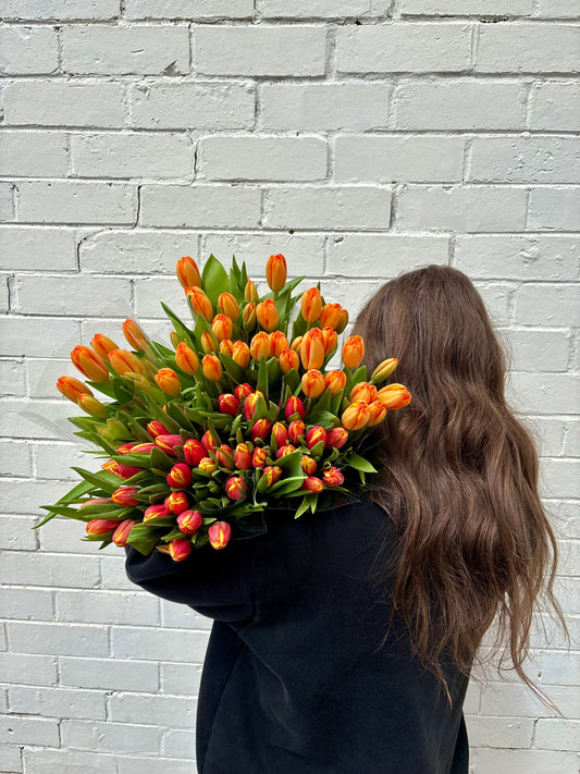 Tulips