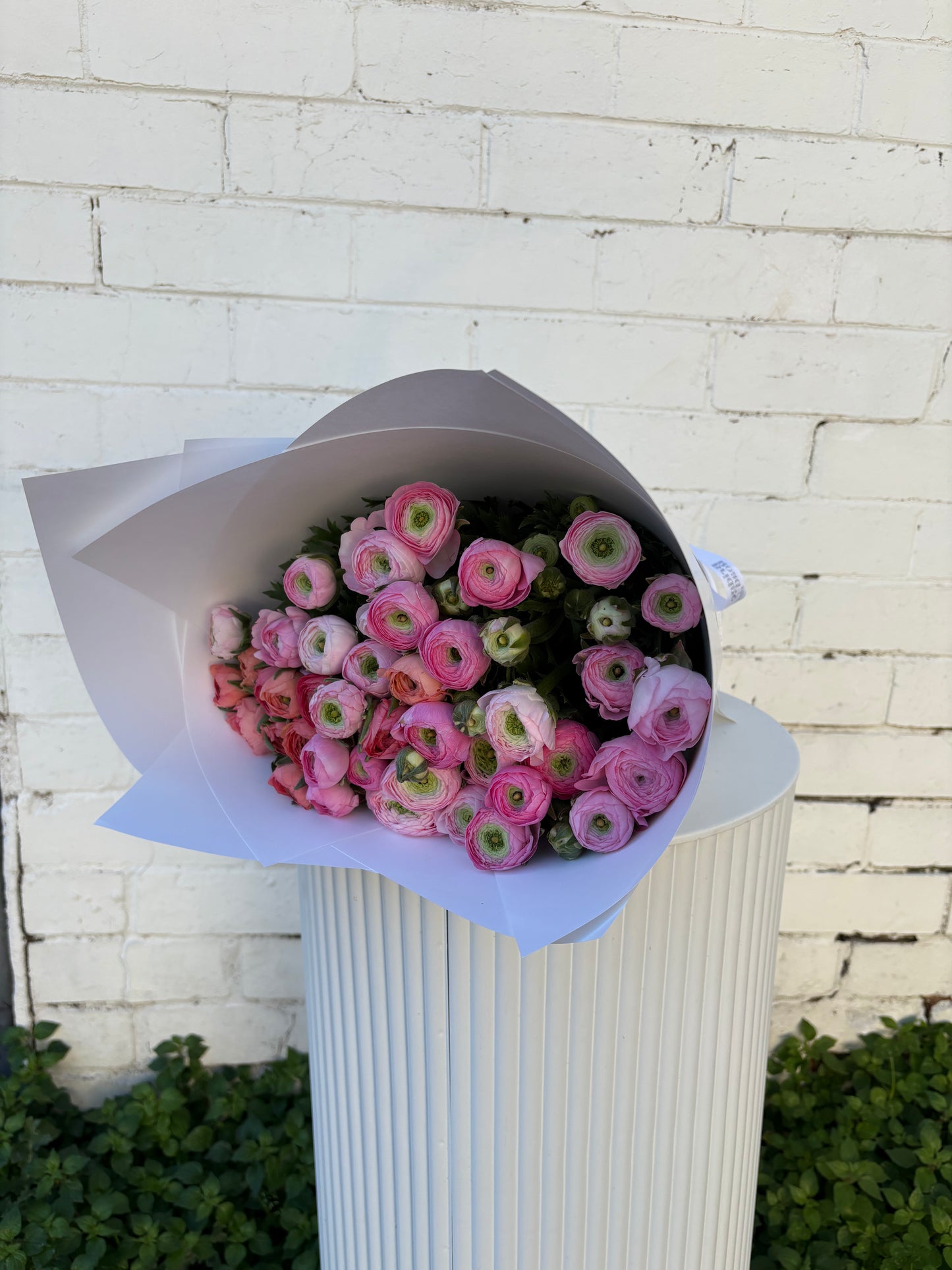 Ranunculus