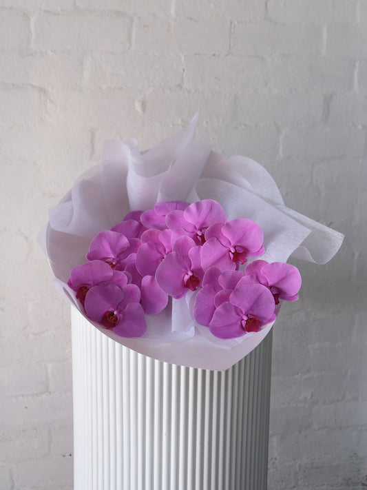 Phalaenopsis Orchids - Valentines Day