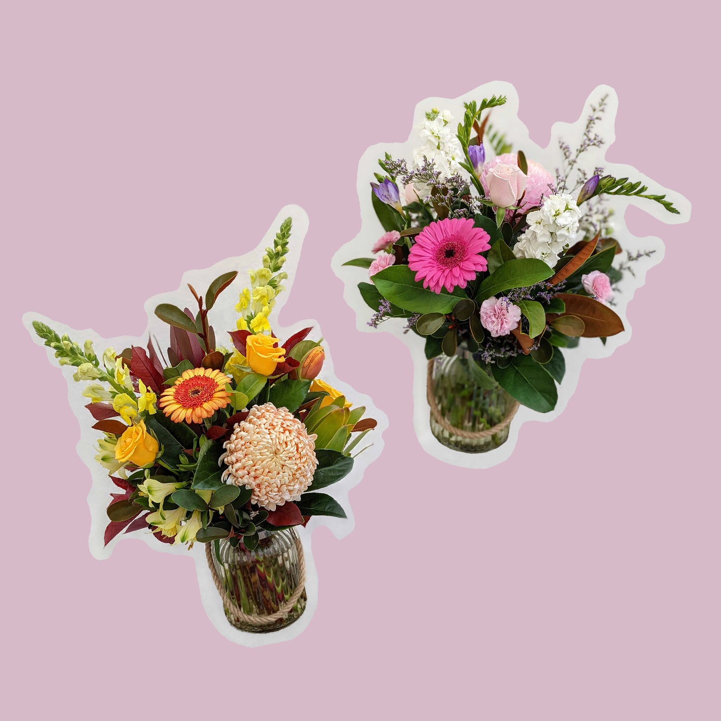 Two vibrant floral arrangements in clear vases on a pink background.