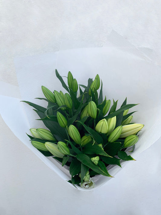 Oriental Lilies En Masse