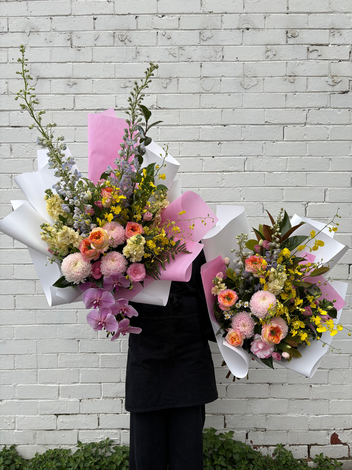 Spring Collection