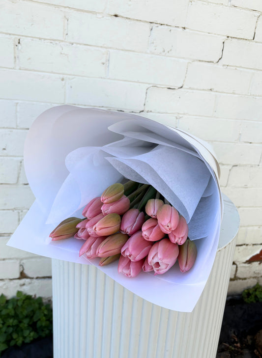 Tulips