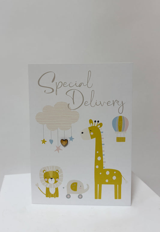 Large Greeting Card - Special Delivery