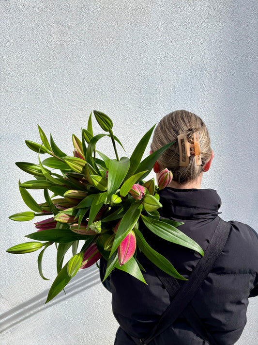 Oriental Lilies En Masse
