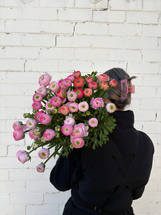 Ranunculus
