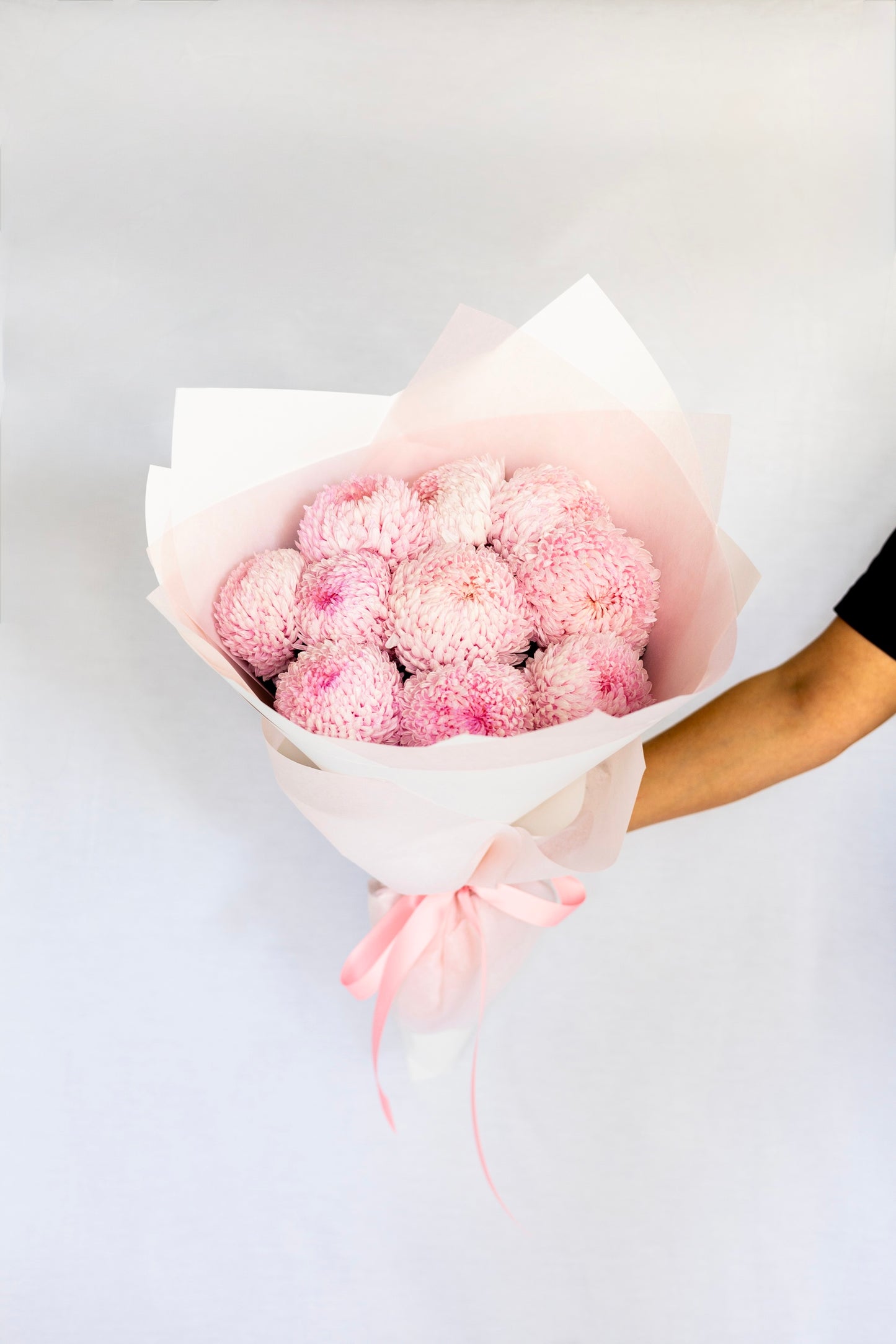 Chrysanthemums