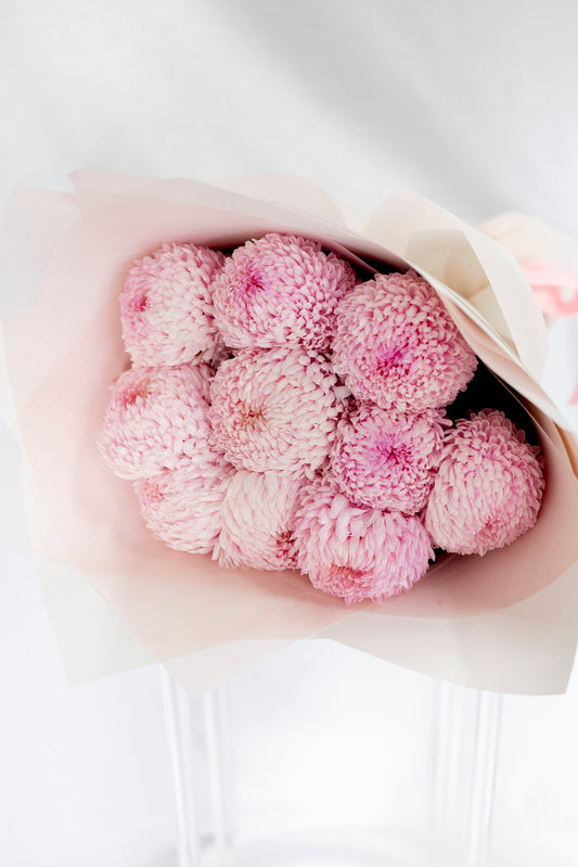 Chrysanthemums